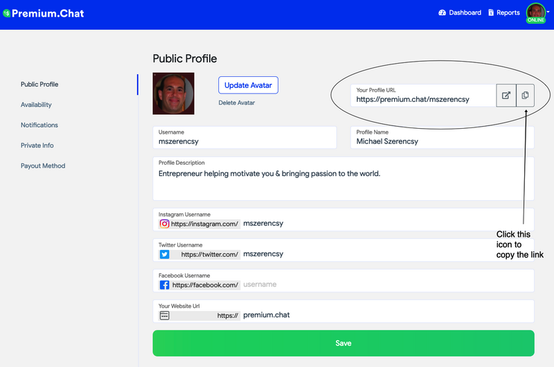 X Twitter bio with Premium.Chat link