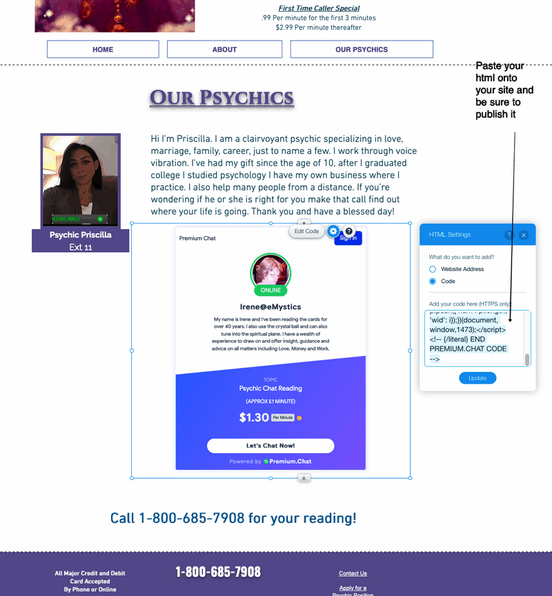 Embedding the Premium.Chat widget on a website