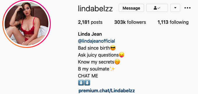 Premium.Chat profile setup