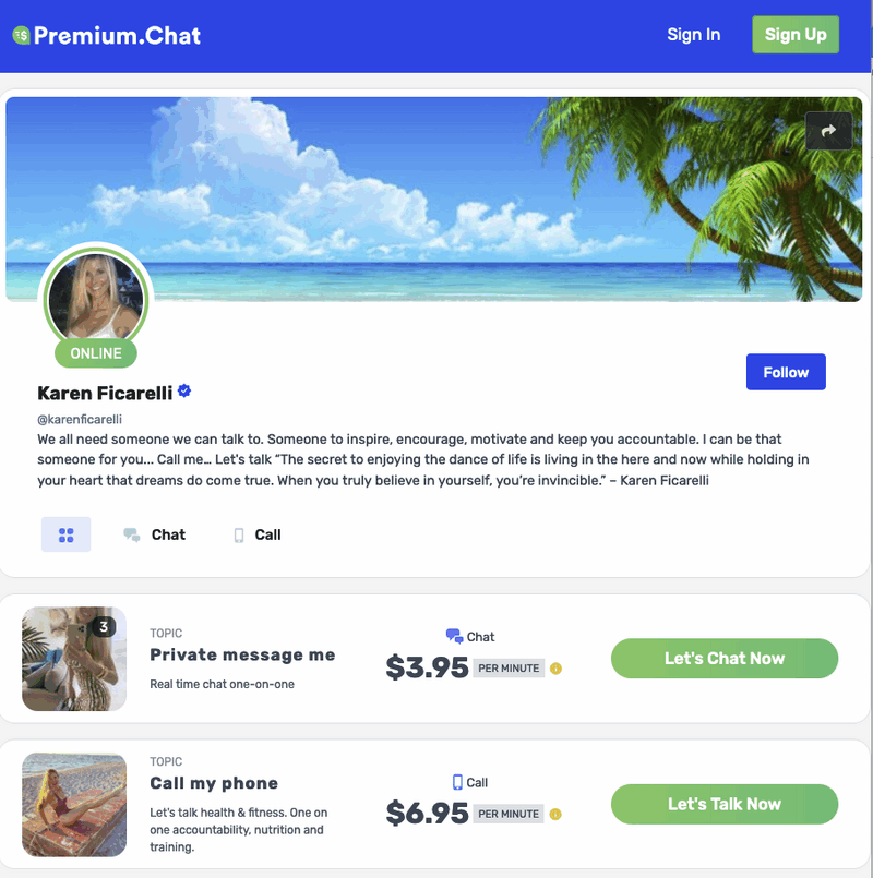 Choosing your Premium.Chat niche